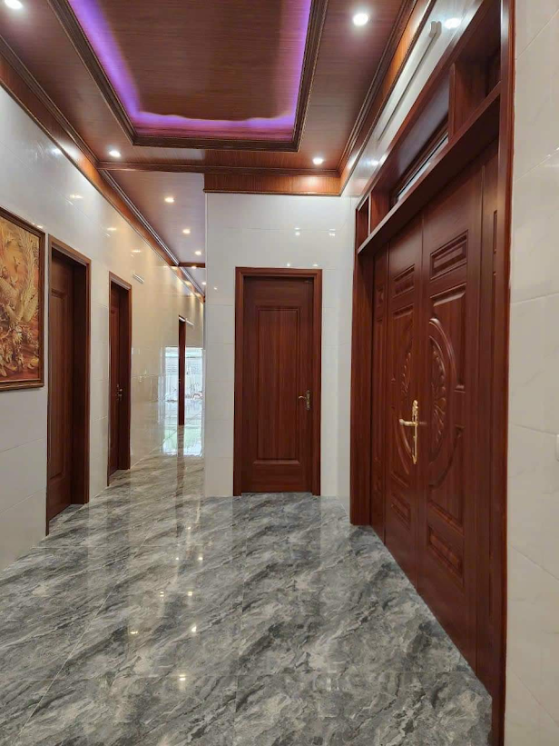 Thiết Kế Cửa Thép Vân Gỗ Luxury 2025 aa 12